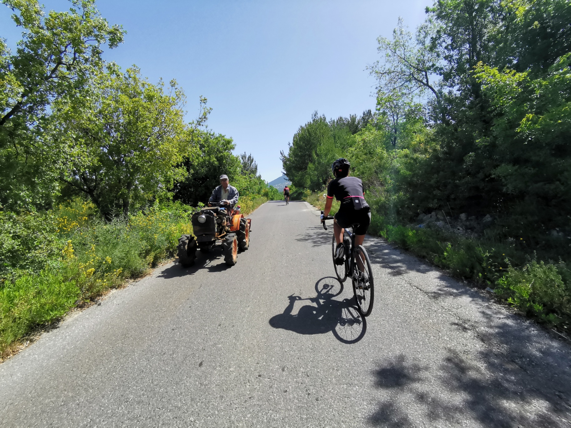 Cyclists on a quiet country road